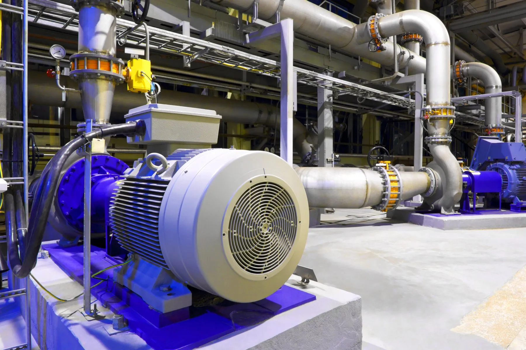 Electric motor driving a centrifugal pump in an industrial plant