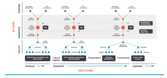 Holistic Cold-Chain Management