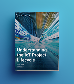 Understand the IoT Project Lifecycle White Paper