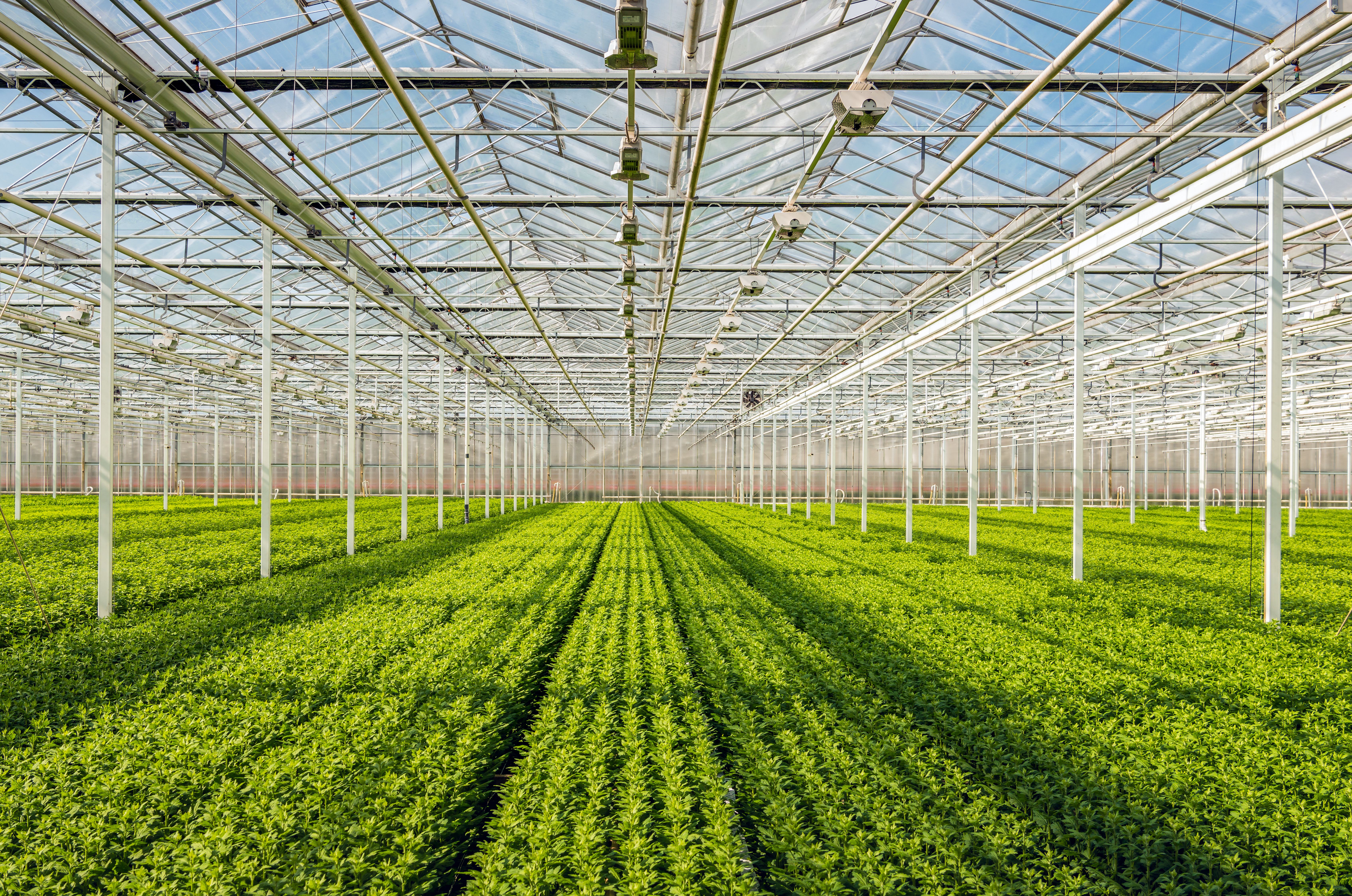 greenhouse agriculture vegetables monitoring iot 